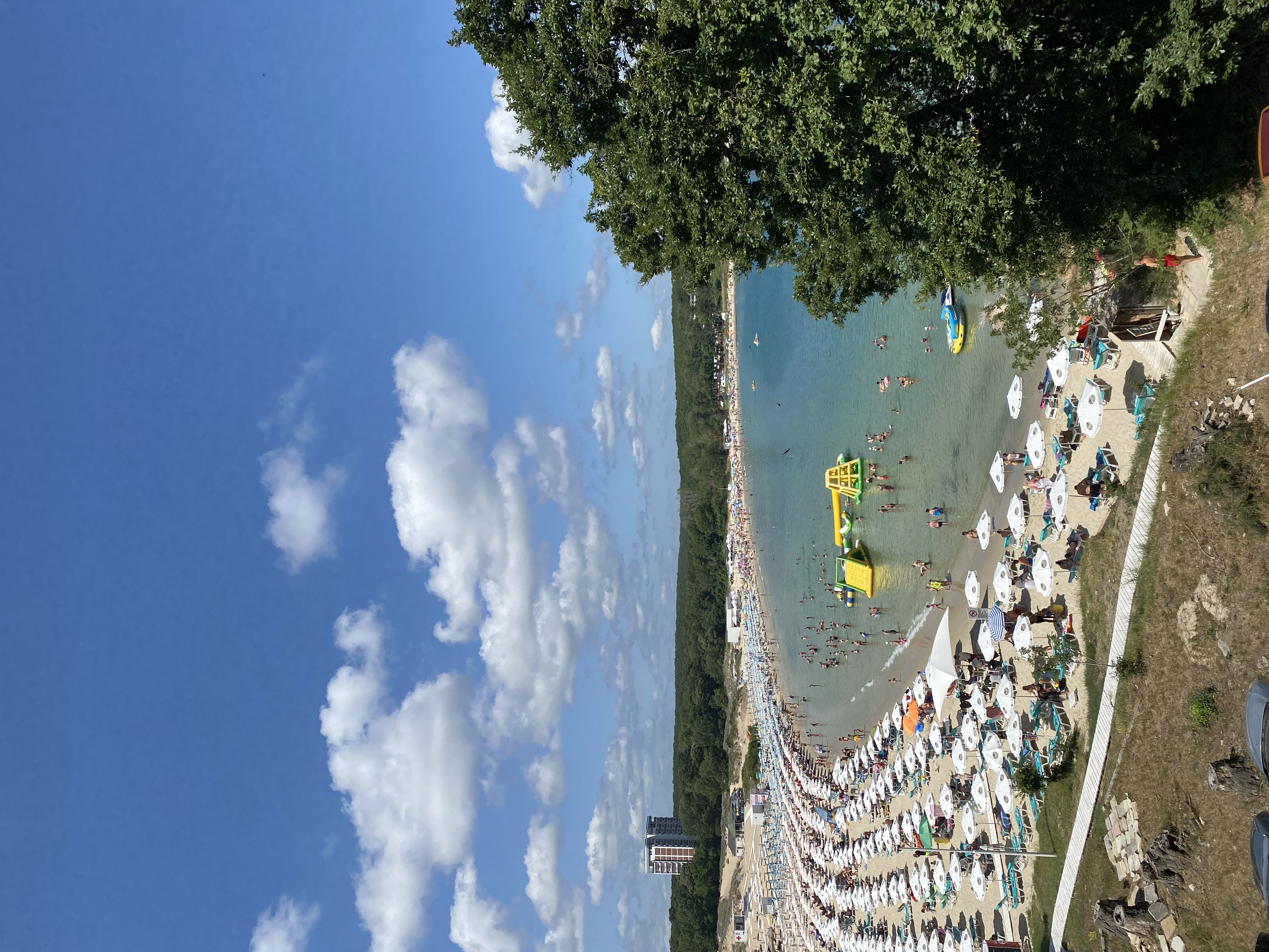 Panoramic View